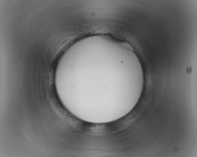 X0000112160362200909041132