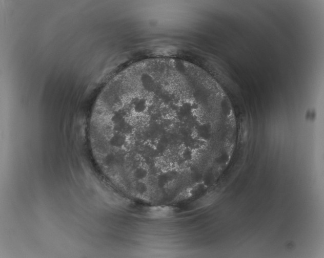 X0000112160363200909041132