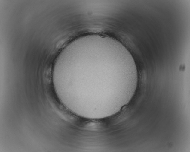 X0000112160364200909041132