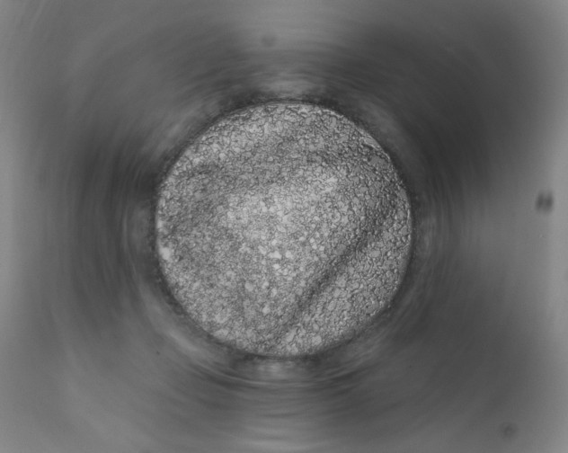 X0000112160365200909041132