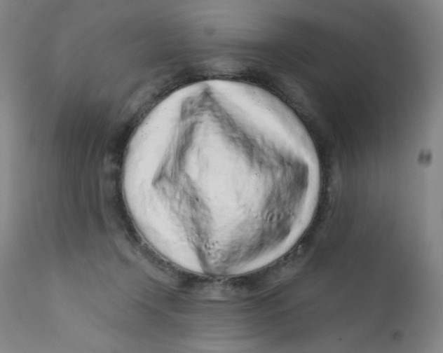 X0000112160366200909041132