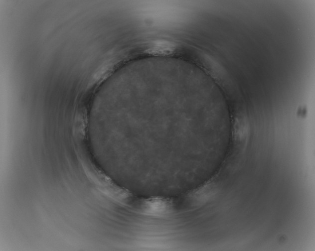 X0000112160370200909041132
