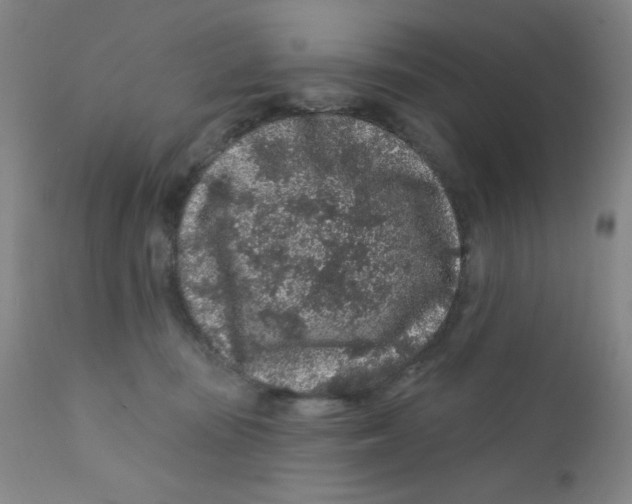 X0000112160371200909041132