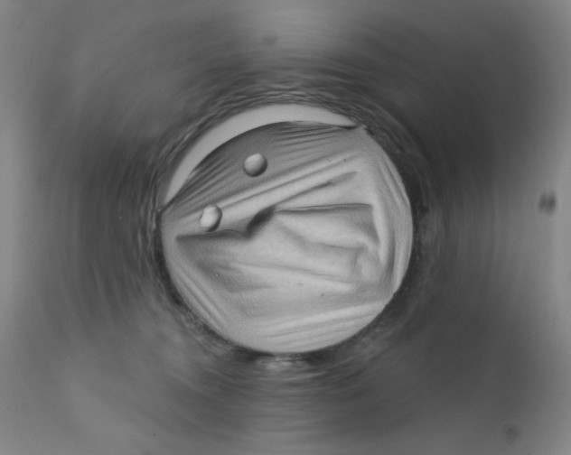 X0000112160372200909041132