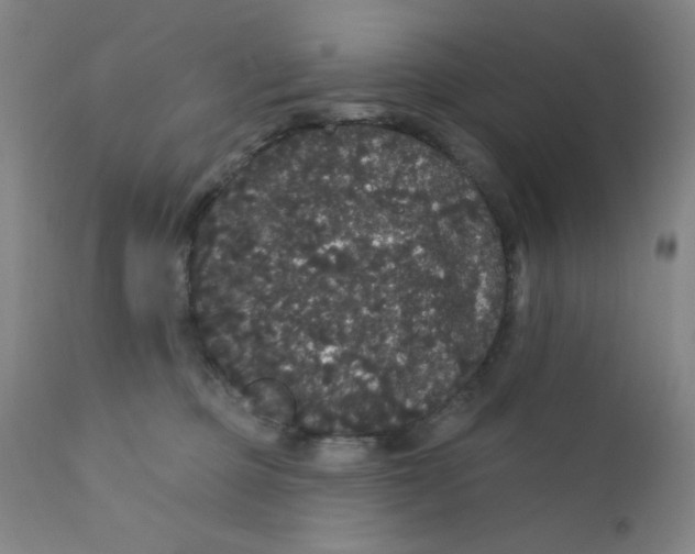 X0000112160373200909041132