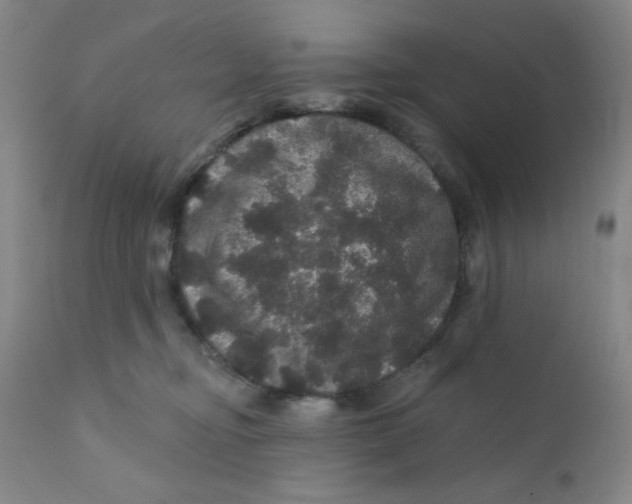 X0000112160374200909041132