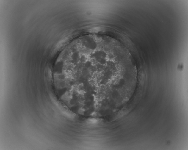 X0000112160375200909041132