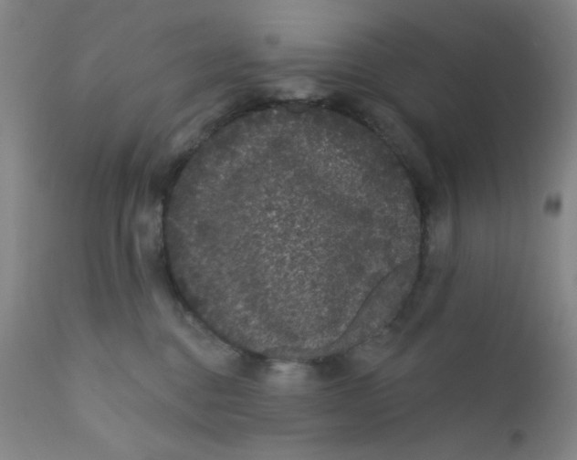X0000112160376200909041132