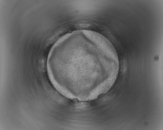X0000112160378200909041132