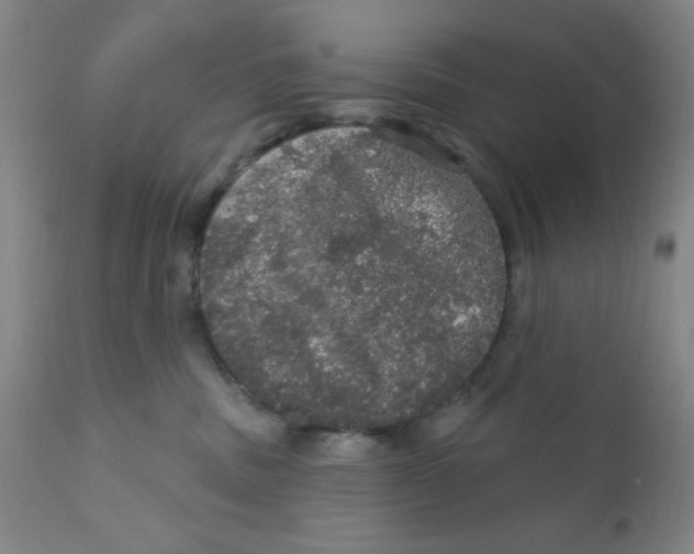 X0000112160379200909041132