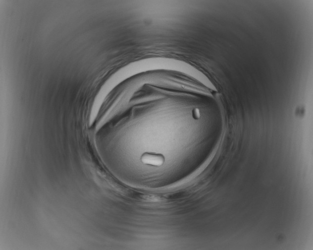 X0000112160380200909041132