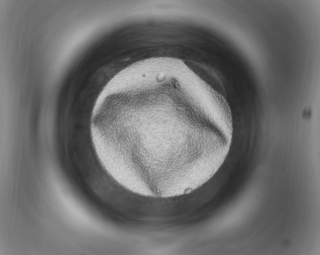 X0000112160383200909041132