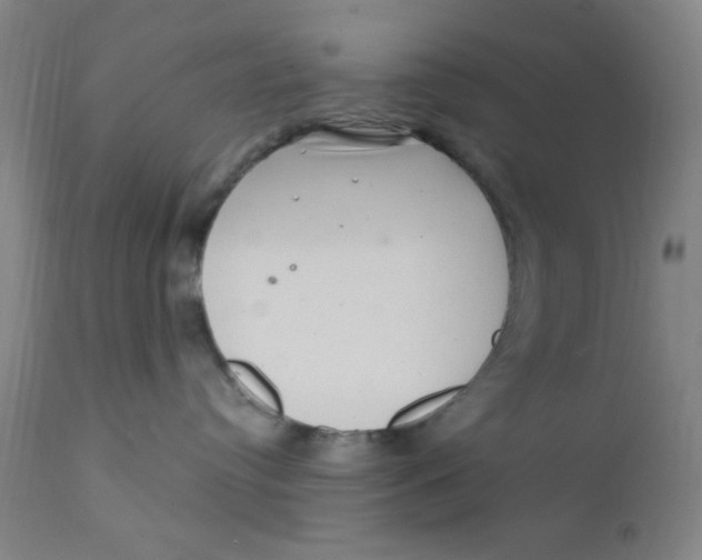 X0000112160384200909041132
