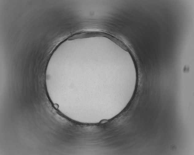 X0000112160385200909041132