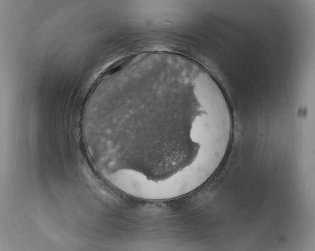 X0000112160386200909041132