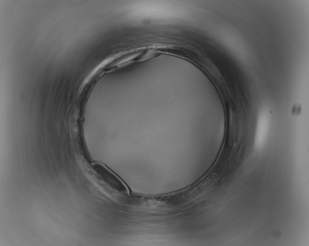 X0000112160387200909041132
