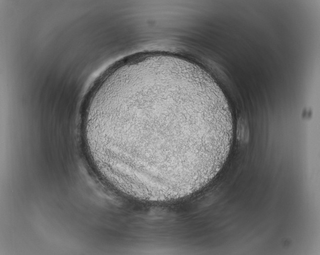 X0000112160388200909041132