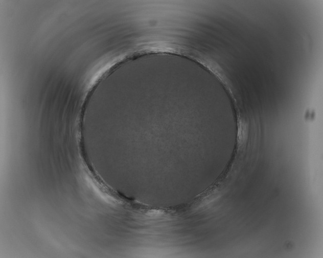 X0000112160390200909041132