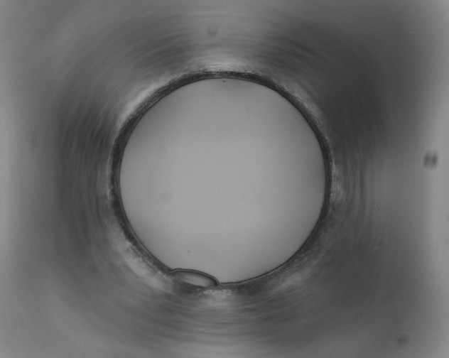 X0000112160391200909041132