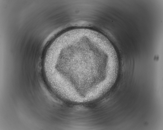 X0000112160392200909041132