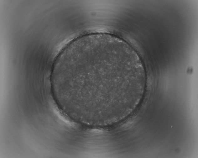 X0000112160394200909041132