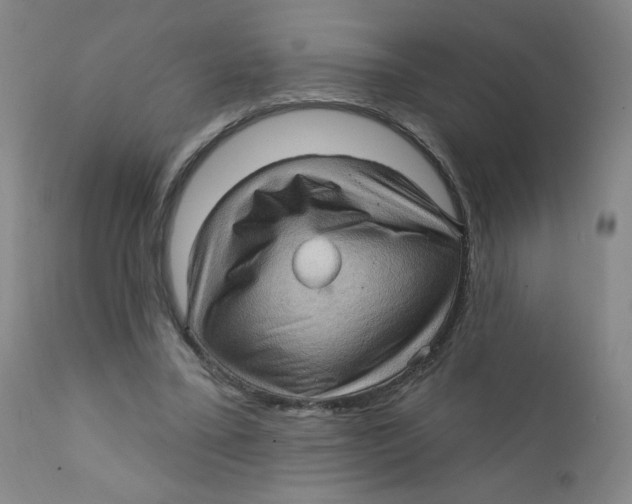 X0000112160395200909041132