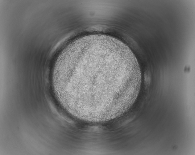 X0000112160396200909041132