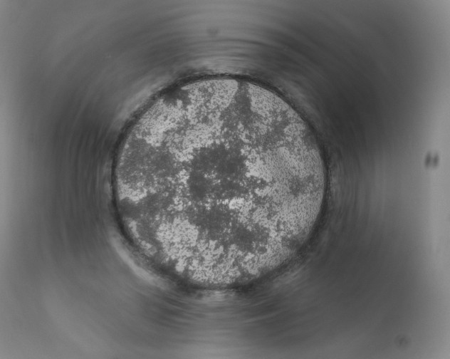 X0000112160398200909041132