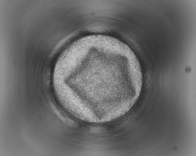 X0000112160400200909041132