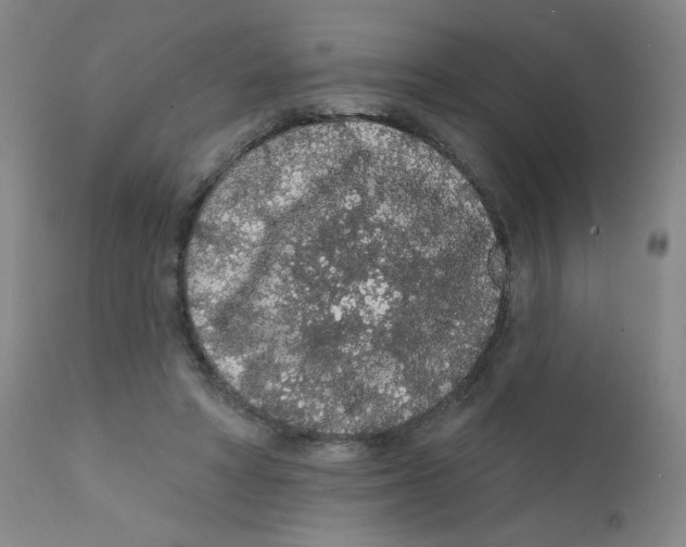 X0000112160402200909041131