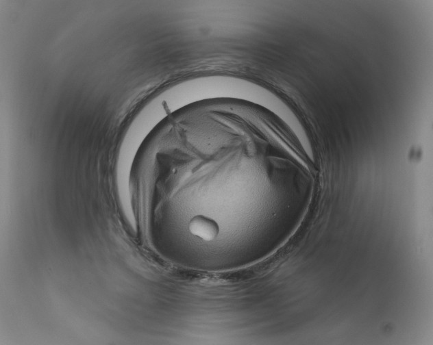 X0000112160403200909041131