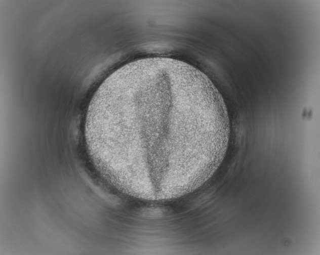X0000112160404200909041131