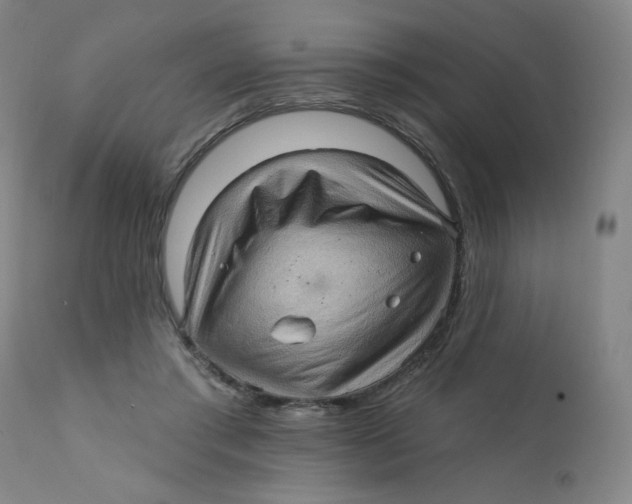 X0000112160405200909041131