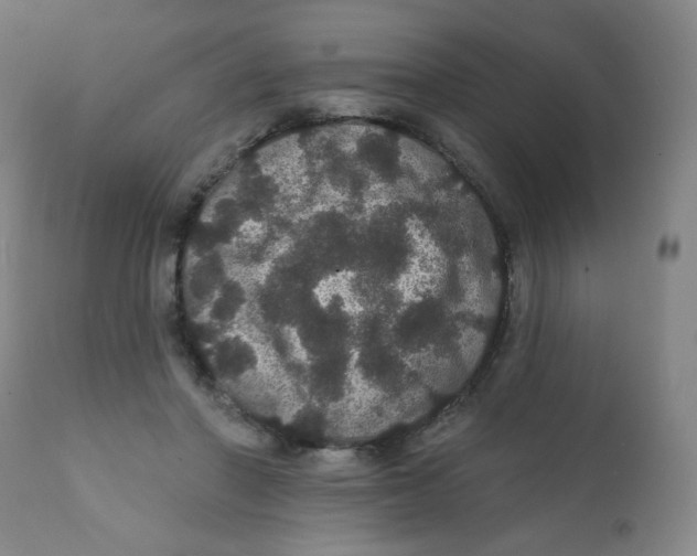 X0000112160406200909041131