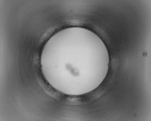 X0000112160407200909041131