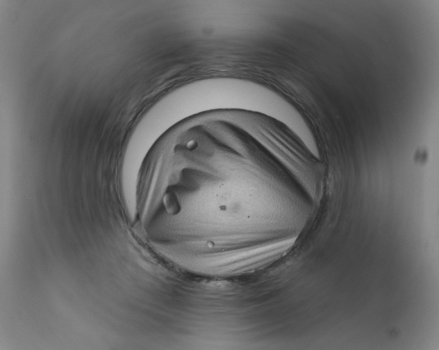 X0000112160409200909041131