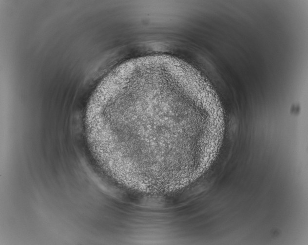 X0000112160410200909041131