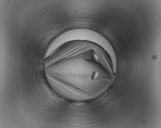X0000112160411200909041131
