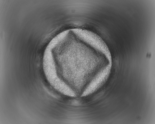 X0000112160412200909041131