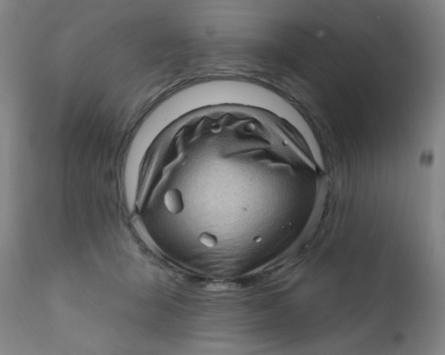 X0000112160415200909041131