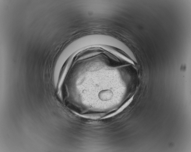 X0000112160417200909041131