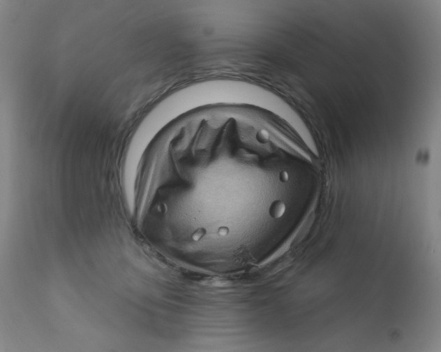 X0000112160419200909041131