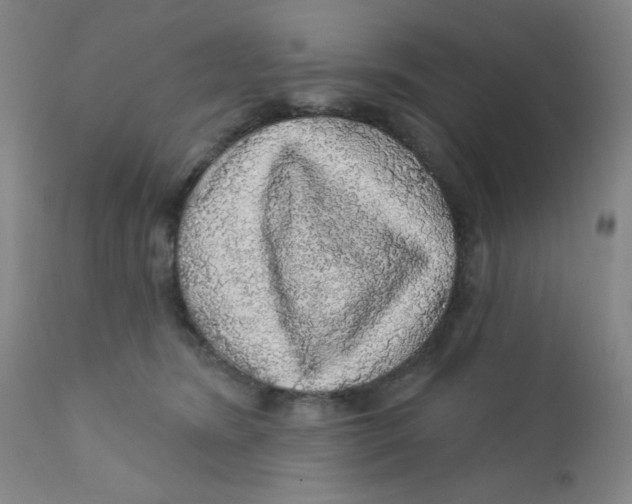 X0000112160420200909041131