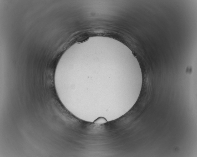 X0000112160421200909041131