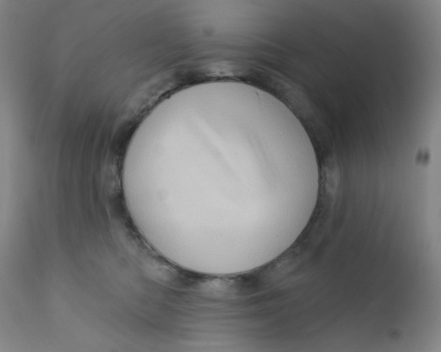 X0000112160422200909041131
