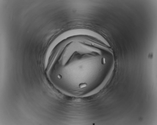 X0000112160423200909041131
