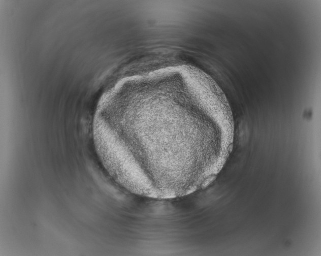 X0000112160424200909041131