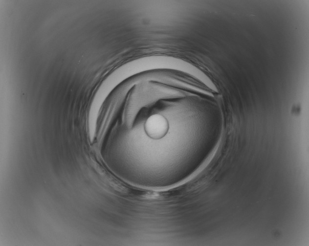 X0000112160425200909041131