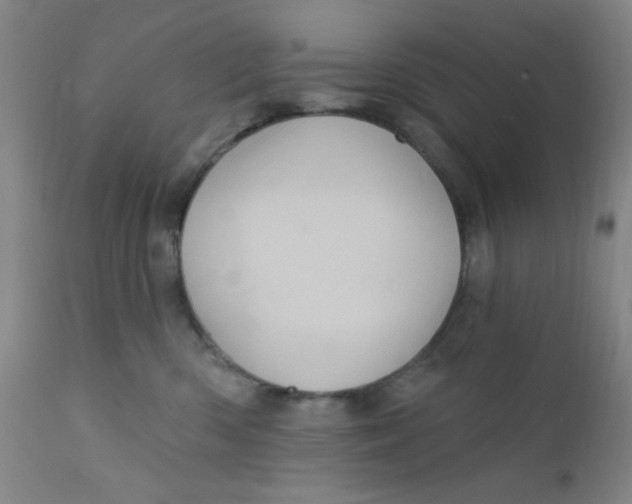 X0000112160426200909041131