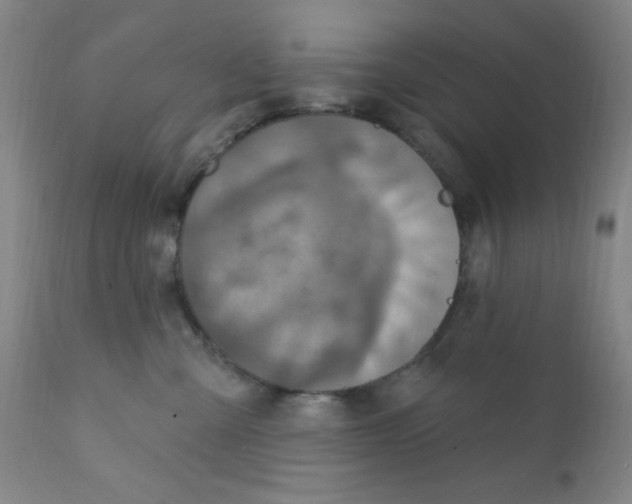 X0000112160427200909041131
